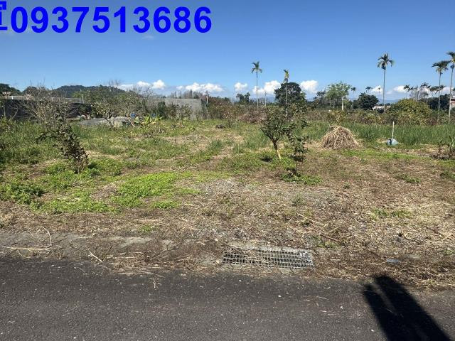 宜蘭冬山農地-5