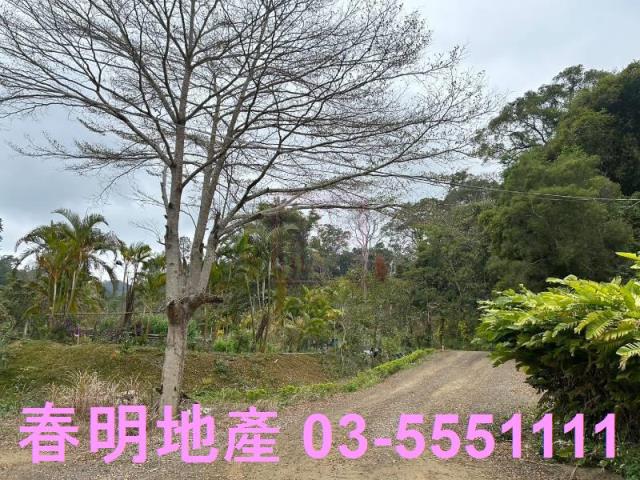 新竹橫山農地-4