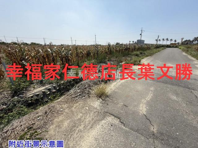 台南鹽水農地-3