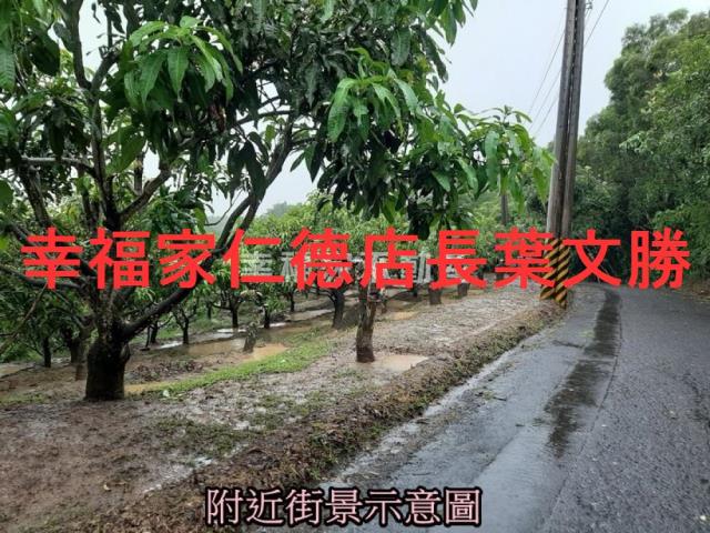 台南大內農地-4