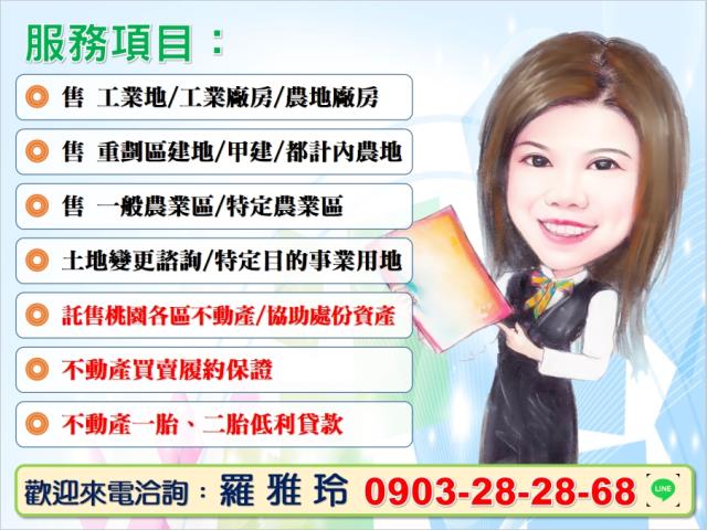 桃園觀音農地-3