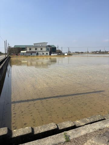 桃園新屋農地-3