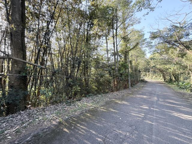 桃園楊梅建地-3