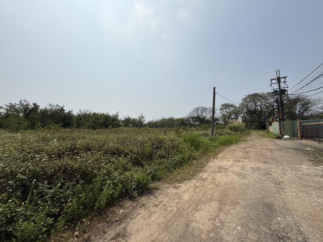 桃園八德農地-5