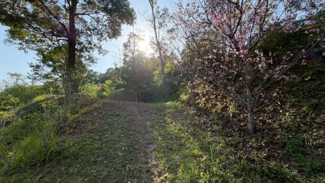 新竹北埔農地-11