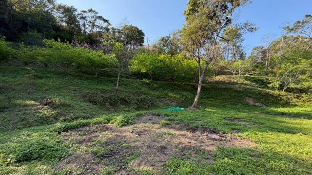 新竹北埔農地-14