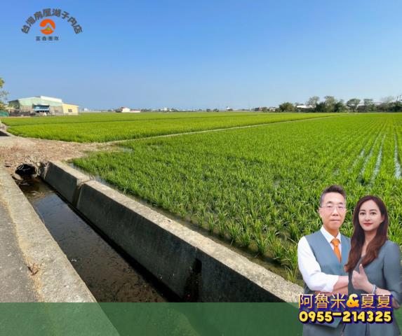 嘉義新港農地-4