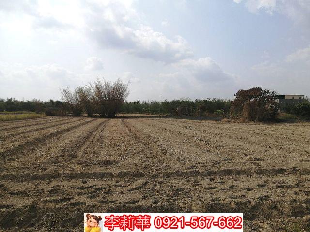 關廟農地-5