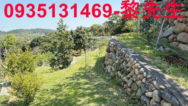 新竹關西農地-6