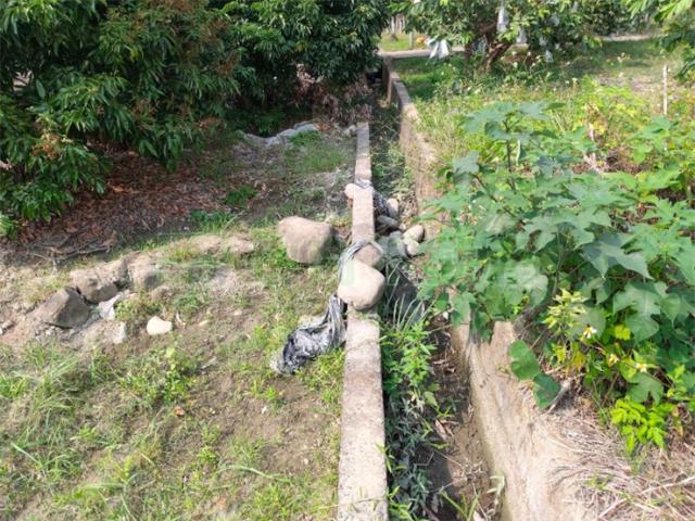 高雄美濃農地-6