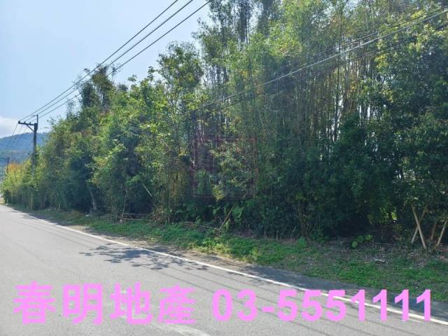 新竹橫山農地-4