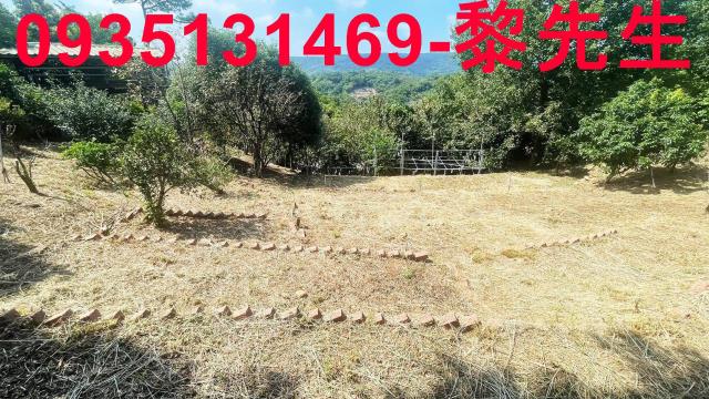 新竹新埔農地-2