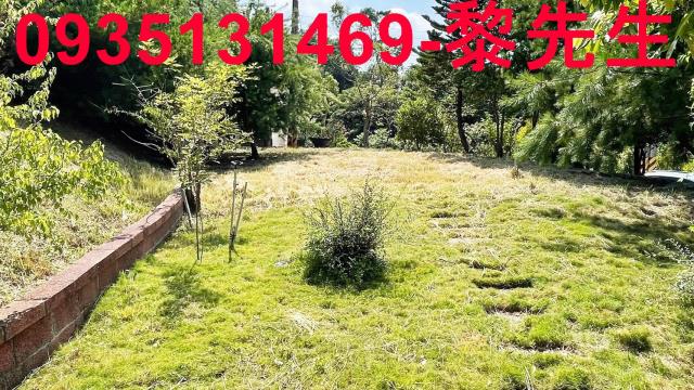 新竹新埔農地-5