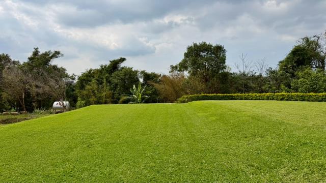 新竹關西農地-9