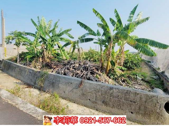 高雄燕巢農地-5