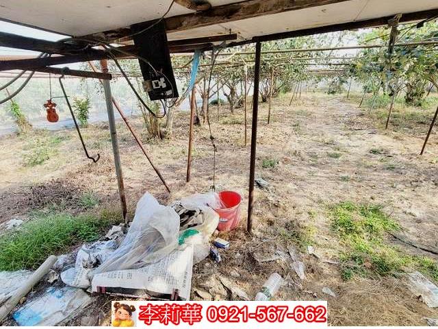 高雄燕巢農地-8