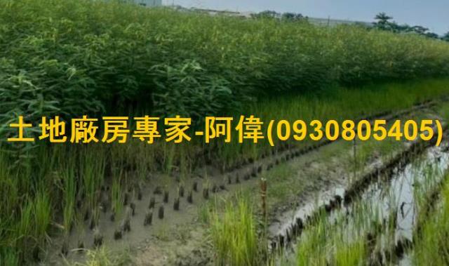 高雄大寮農地-1