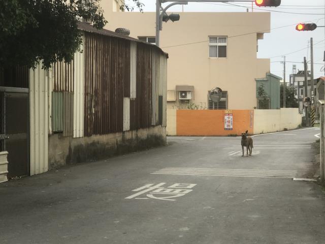 彰化彰化市農地-5