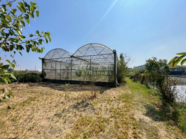 嘉義民雄農地-5