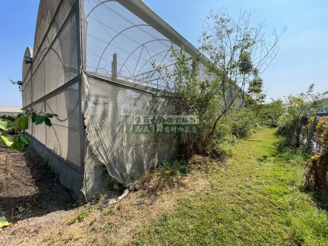 嘉義民雄農地-6