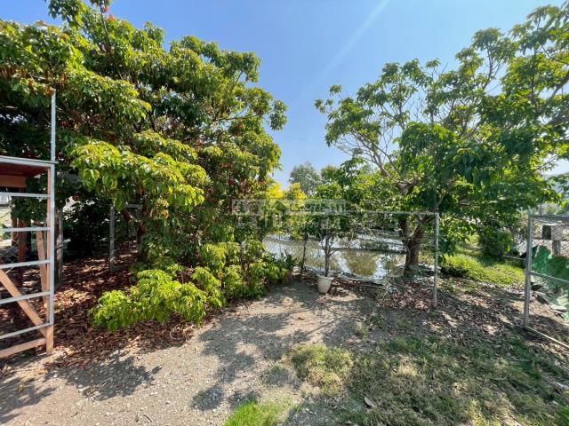 嘉義民雄農地-7