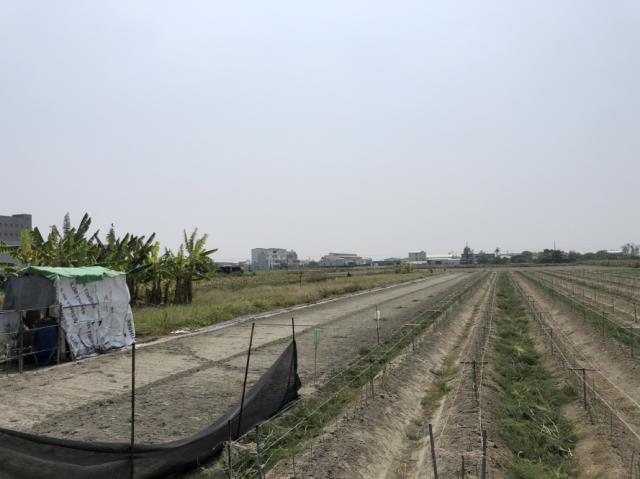 西港農地-6