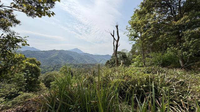 新竹北埔農地-6