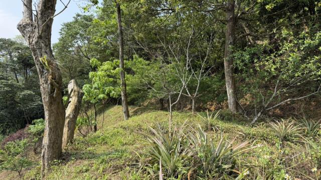 新竹北埔農地-7