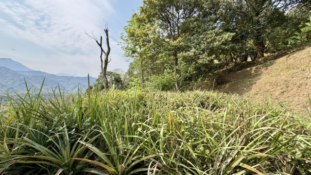 新竹北埔農地-9