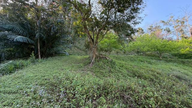 新竹北埔農地-8