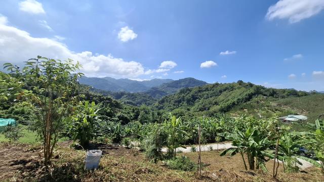 台中東勢農地-6