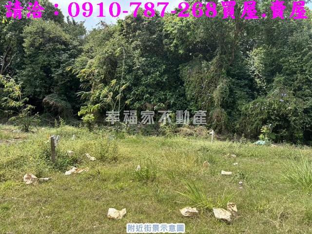 台南關廟農地-4