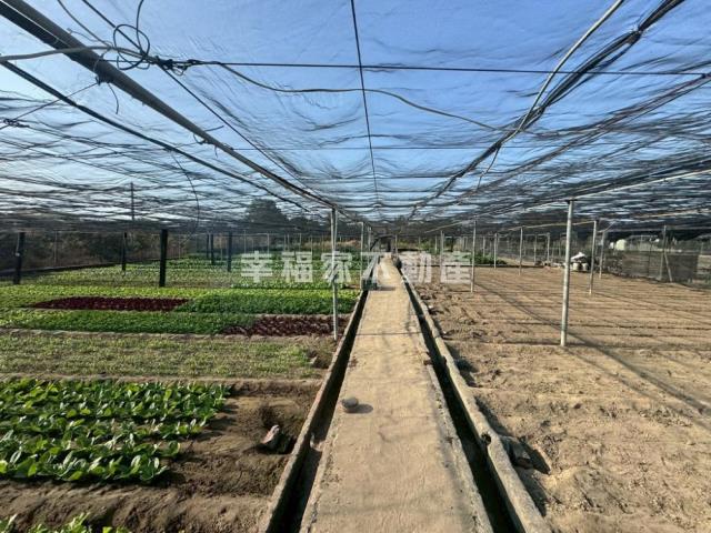 台南南區農地-1