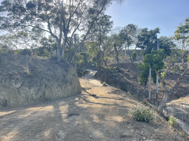 南投中寮農地-7