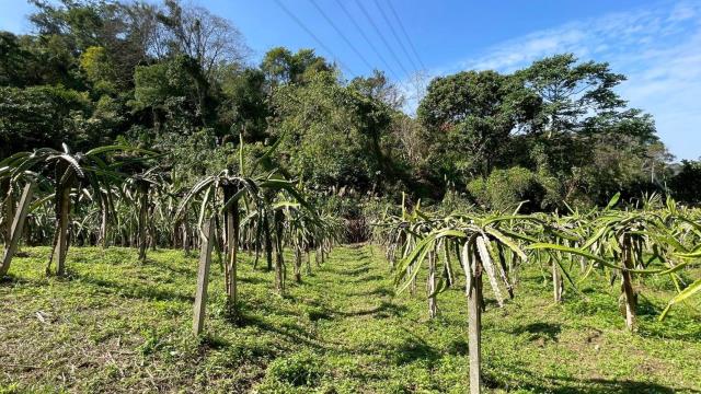 新竹峨眉農地-10