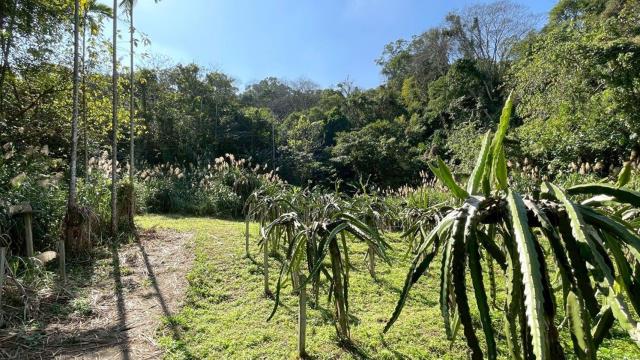 新竹峨眉農地-13