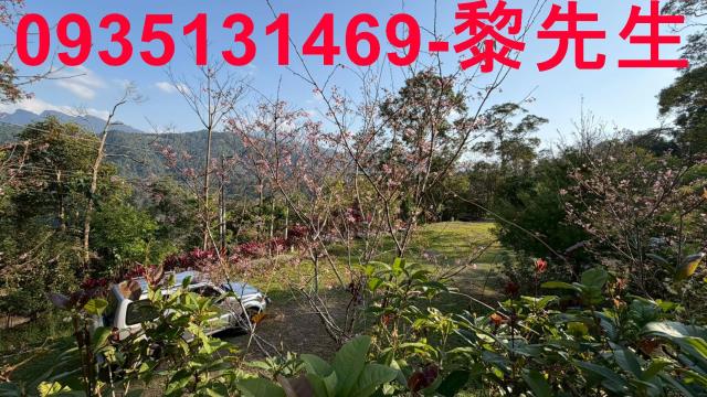 新竹北埔農地-12