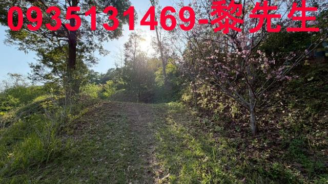 新竹北埔農地-2