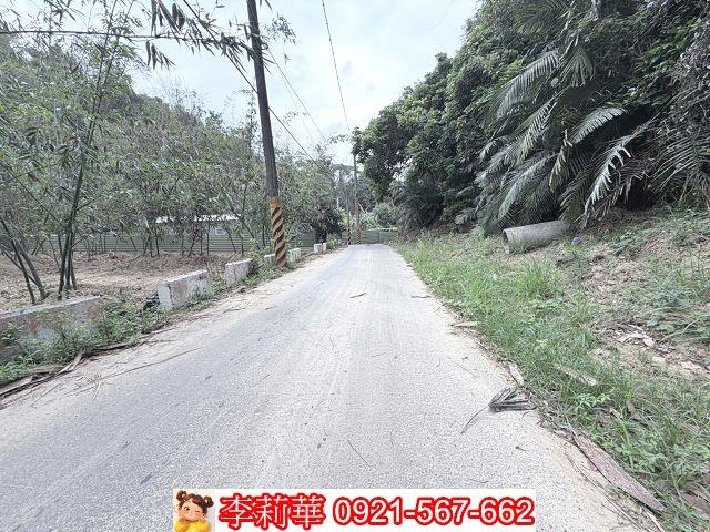 台南新化農地-1