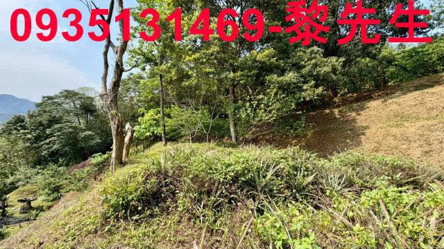 新竹北埔農地-4