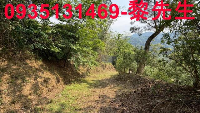 新竹北埔農地-9