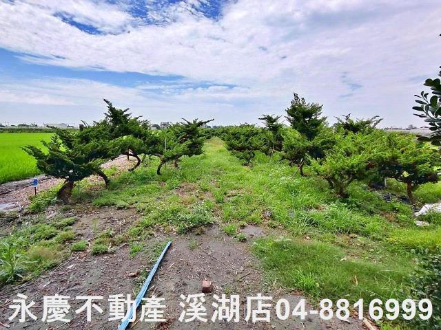 二林農地-13