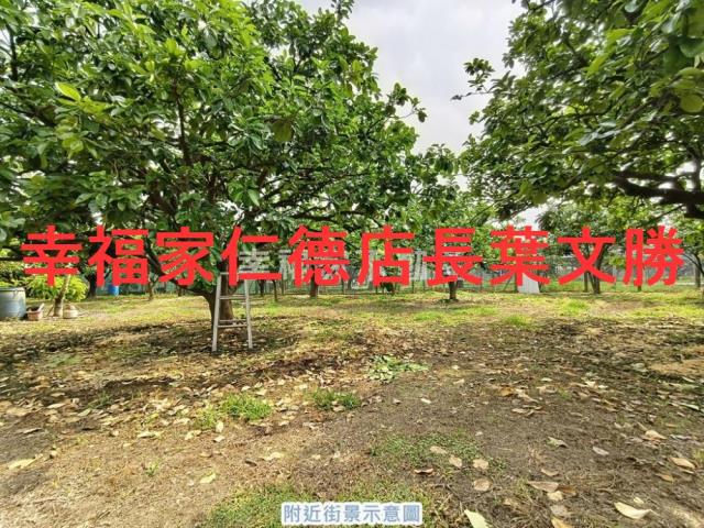 台南麻豆農地-15