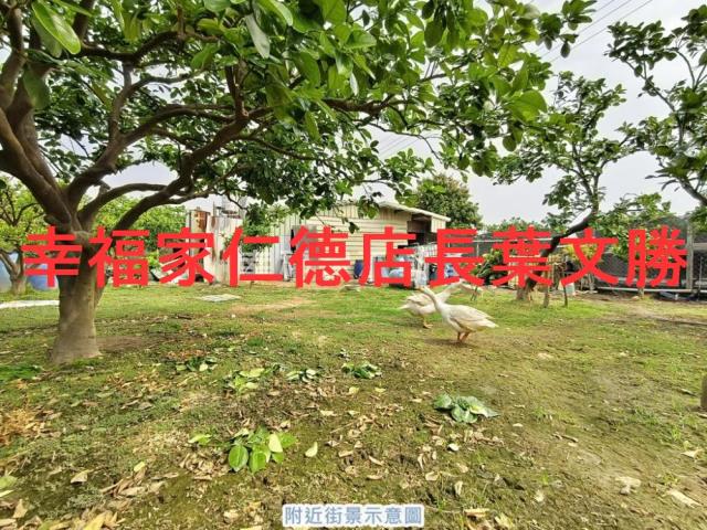 台南麻豆農地-2