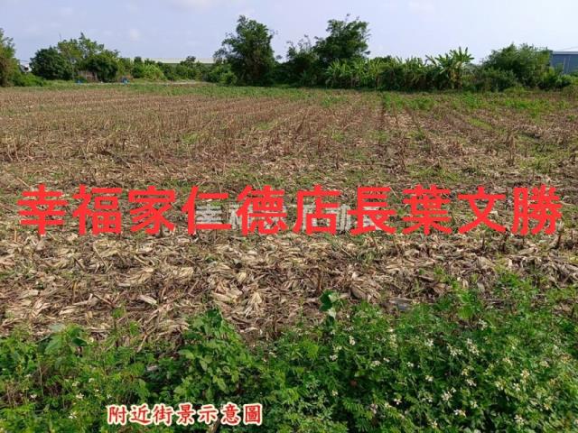 台南安定農地-5