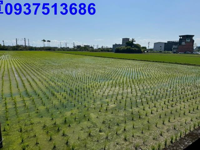 宜蘭宜蘭市工業建地-5