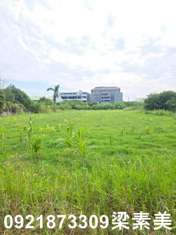 台南永康農地-10