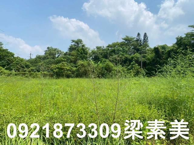 台南關廟農地-1