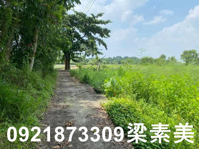 台南關廟農地-9