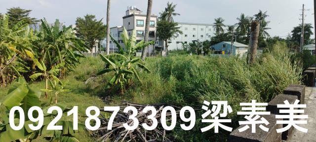 台南仁德農地-10